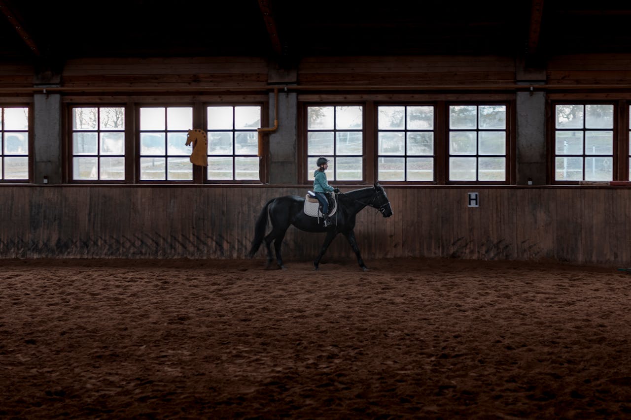 about-us Girl riding a black horse indoors, showcasing equestrian training in a stable setting.