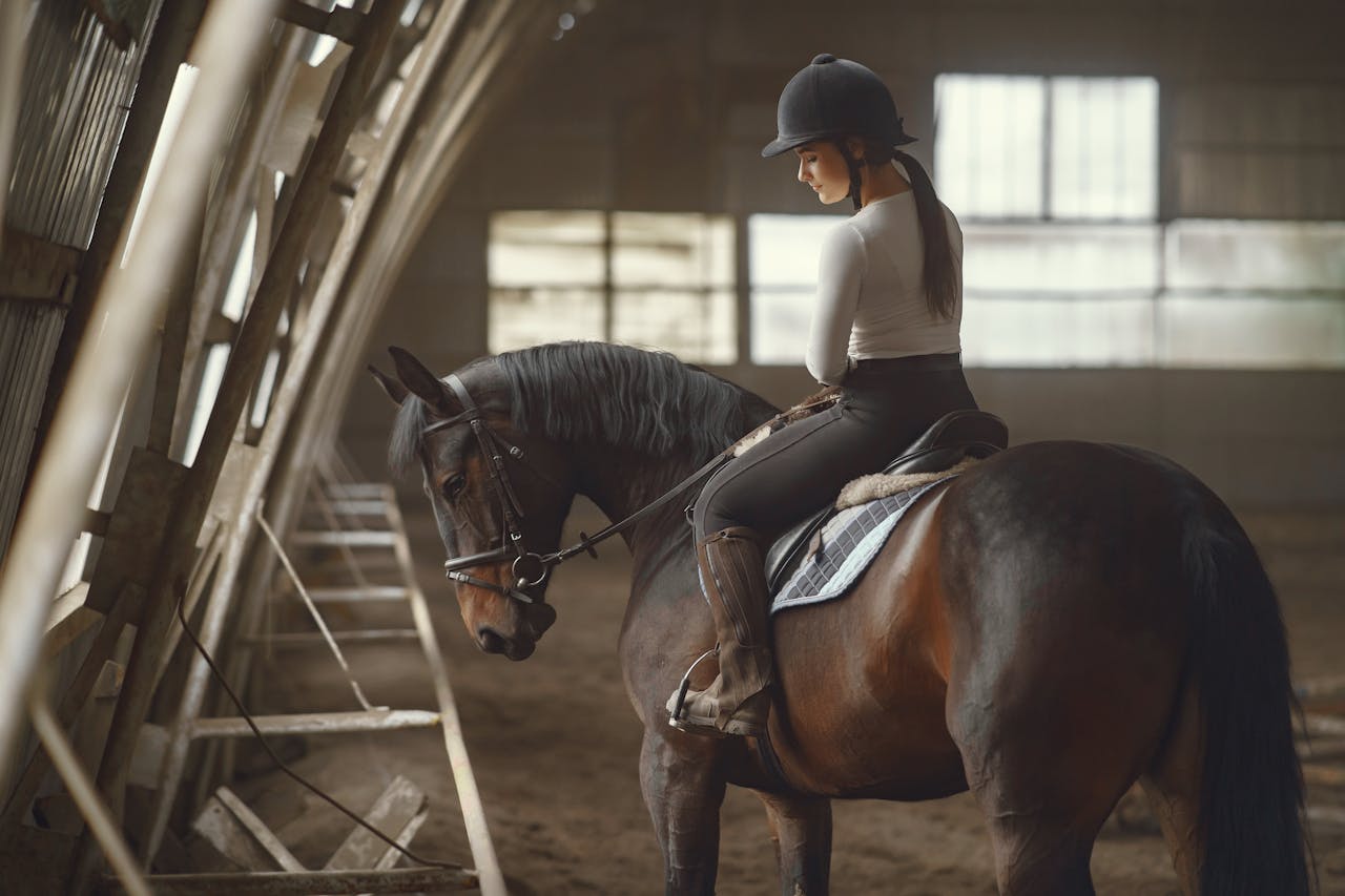 services-02 A young woman riding a horse indoors, dressed in equestrian attire, showcasing concentration and skill.