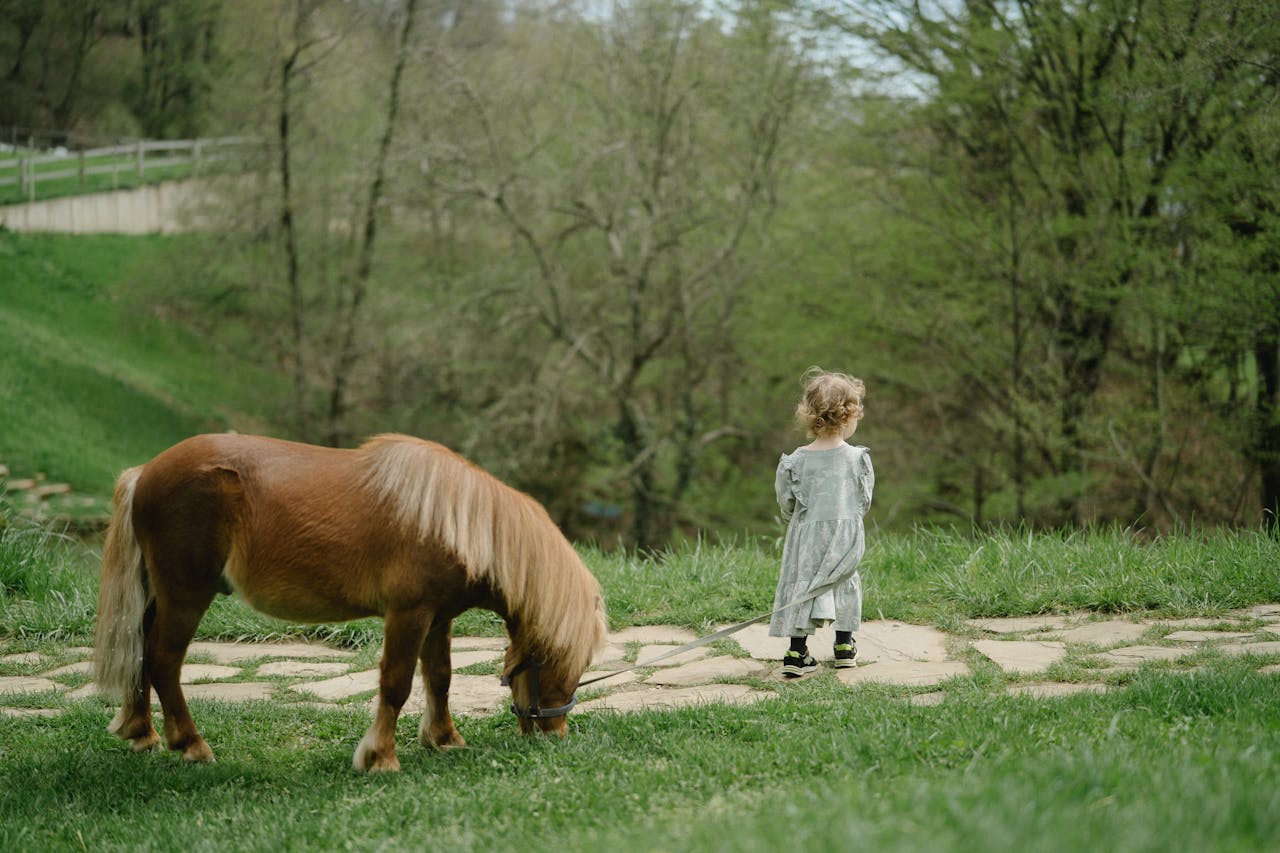 services-03 A young child stands near a pony in a lush green outdoor setting.