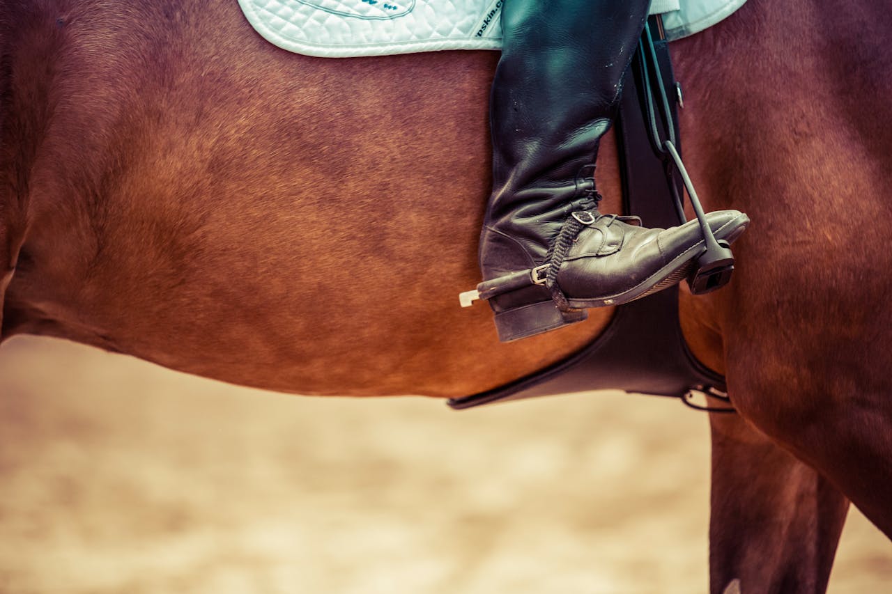 Detailed view of a rider's boot in a stirrup on a horse, showcasing equestrian gear.